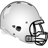 Delaware Valley Warriors logo