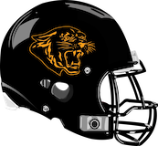 Panther Valley Panthers logo