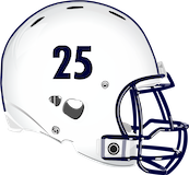 Salisbury Township Falcons logo